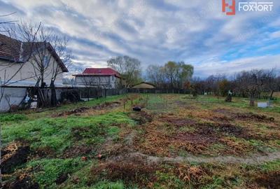 Teren de 1300 mp, în Jebel - 11