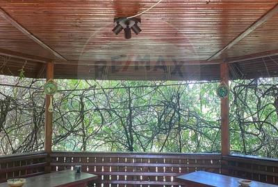 DE VANZARE Vila de vacanta in Pucioasa /Dambovita - 58