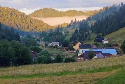Proprietate de vanzare in Bucovina Breaza zona Paraul Negrei - 10
