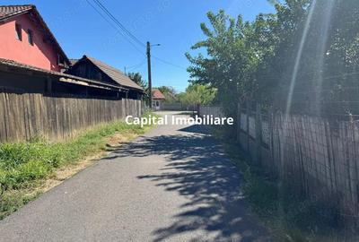 Casă cu Teren 6299 Mp în Gogoșu - 4