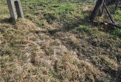Casă cu 2 camere cu Teren 3462 Mp în Borș - 5