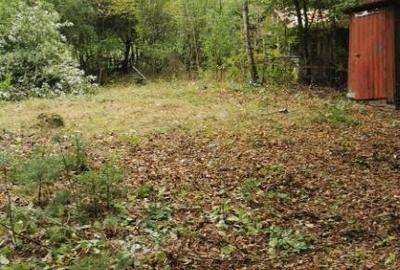 Firiza, 4,5 ari teren - 2