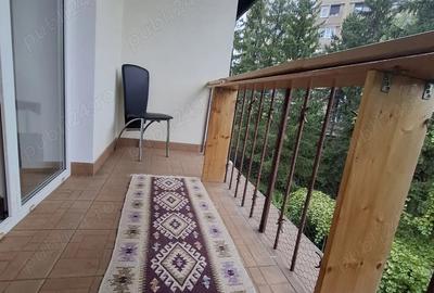 Apartament 2 camere de inchiriat - Centrul Civic - 10