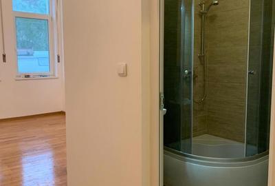 Vand casa Faget - 10