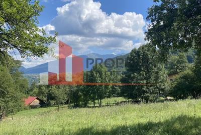 Teren cu livada Bran/ Predelut - 13