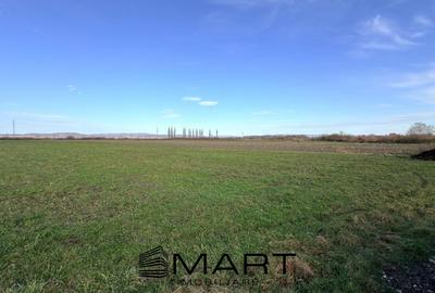 Teren Extravilan 15.000 mp Prejmer - 2