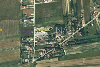 Vanzare loturi teren intravilan, situate in cartier Preajba, str. Frasinetului - 3