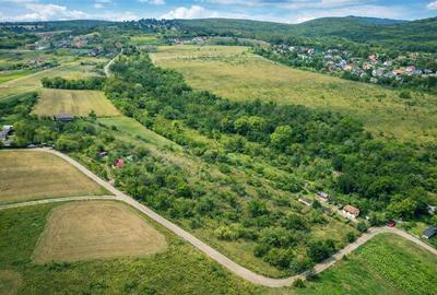 Teren Construcții extravilan de 4500 mp, în Exterior Est - 1