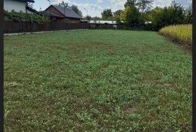 Teren de 1000 mp, în Secu - 3