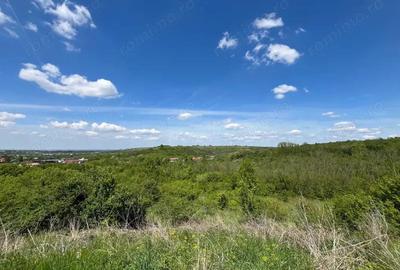 Teren de 8200 mp, în Lugoj - 8