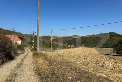 Teren intravilan de vanzare 14000mp,ideal pentru investitie, - 8