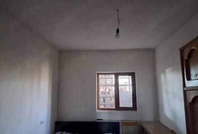 2 Hale+cantar 50 tone - 2