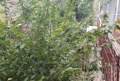 Inchiriere apartament de 2 camere in centrul Clujului - 14