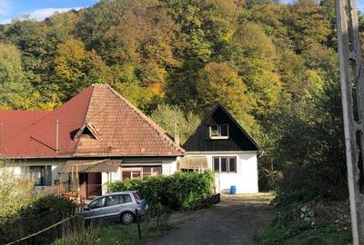 Casa de vanzare - 1