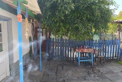 Casa de vanzare in comuna Mihai Bravu, jude?ul Tulcea Casa de vanzare in comuna Mihai Bravu, jude?ul Tulcea - 3