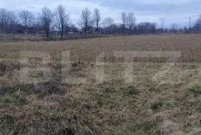 Casă cu Teren 5450 Mp în Central