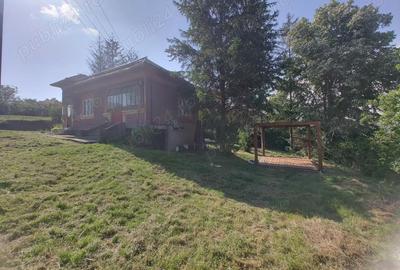 Casă cu 3 camere cu Teren 1400 Mp în Schitu Scoicești - 7