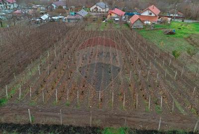 Casa de Om Gospodar - Costuleni - Gradina 1.830 mp -0% Comision 0% TVA - 2