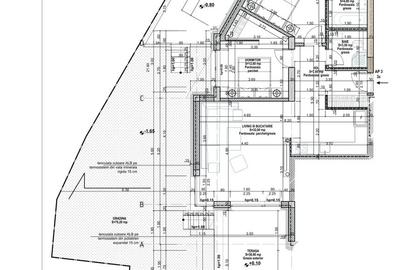 Direct dezvoltator 3 camere, gradina proprie - zona Mosilor - 5