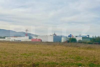 Teren de 11000 mp, în Ampoi 3 - 3