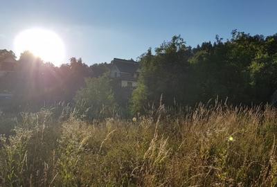 Teren de 4000 mp, în Central - 1