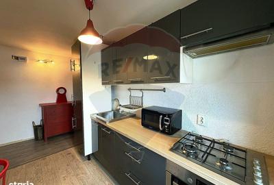 Apartament cu 2 camere semidecomandat, mobilat în Drăgășani - 13
