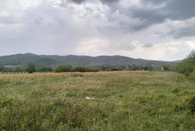 Oportunitate de investitie, teren intravilan, 6018 mp, Ungur - 1