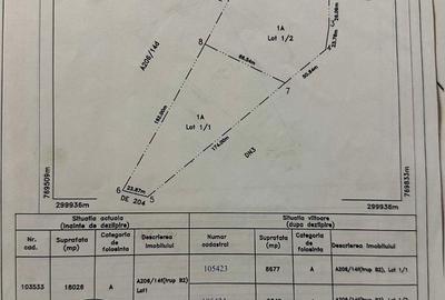 Teren de 8677 mp, în Central