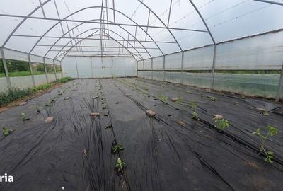 Casă cu 6 camere cu Teren 2106 Mp în Piatra - 15