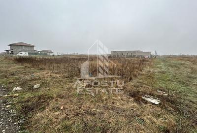 Teren 530  mp, Sacalaz, zona de case noi, zona PUZ Cosma. - 2