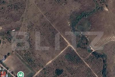 Teren de 4969 mp, în Central