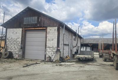 Teren de 1000 mp, în Panaci - 2