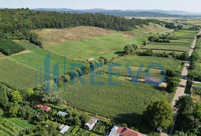 Teren de 3500 mp, în Bogdănești - 7