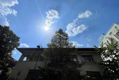 4 rooms ***203 SQM useful*** / 38 SQM terrace + garage / Primaverii - 40