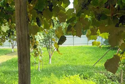 Vand casa loc.Stefan cel Mare - 3