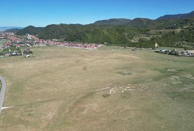 Teren extravilan Rasnov - 14