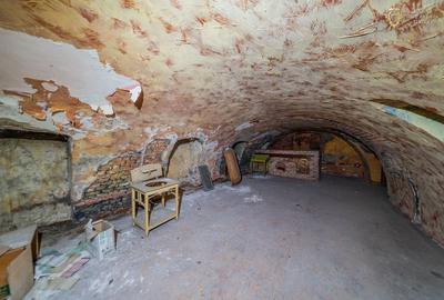 Proprietate speciala cu potential in inima Aradului - 26
