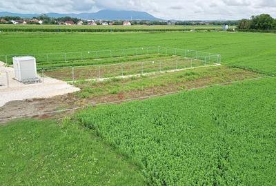 Teren Industrial - 8