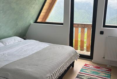 VANZARE CABANA INDIVIDUALA - 4