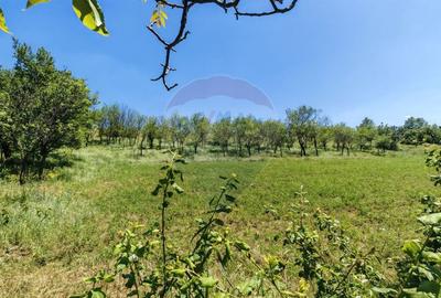 Tere cu constructie de vanzare in Urlati - 3