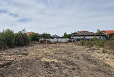 Teren intravilan 1000 mp - Domnesti - 3