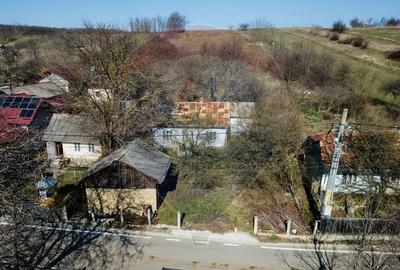 Teren Construcții intravilan de 3800 mp, în Burdujeni - 4