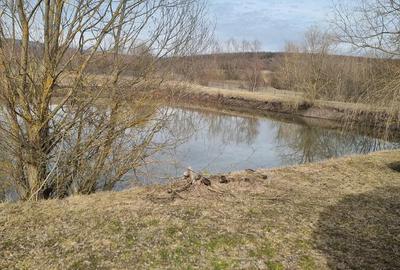 Spațiu comercial, de 10,000 mp, în Central - 13