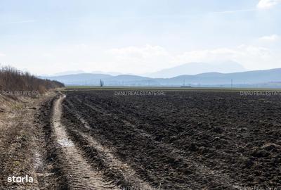 Spațiu comercial, în Vulcan - 5