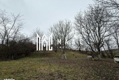 Spațiu comercial, în Șura Mare - 2