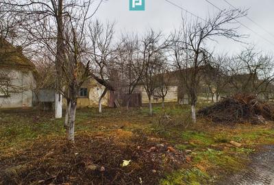Casă cu 3 camere cu Teren 1500 Mp în Suștra - 3