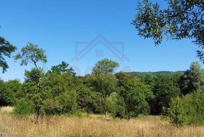 TEREN INTRAVILAN ZAVOI\ZONA VALEA BISTREI, JUD.C-S