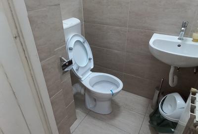 Vanzare vila p+2, birouri sau clinica, 9 camere,   Dorobanti (liceu Caragiale) - 13