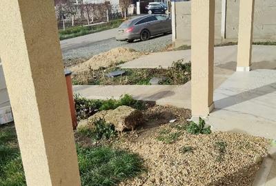 Casă cu 3 camere cu Teren 250 Mp în Izvin - 3