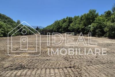 Teren de 18259 mp, în Chirpăr - 3